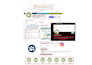 create, set up and optimize social media accounts